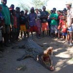 תנין בטיול בהתאמה אישית למדגסקר