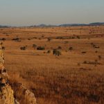נוף מדברי בטיול בהתאמה אישית למדגסקר