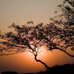 שקיעה יפה בטיול בהתאמה אישית בנמיביה