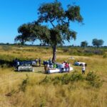 הפסקת צהריים בטבע בטיול לזימבבואה