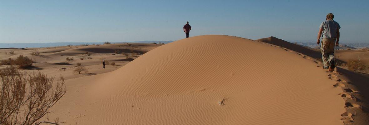 טיול במדבר בירדן