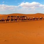 מטיילים במדבר בטיול בהתאמה אישית למרוקו 