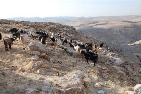 טיול טרקים בהרי הטרודוס