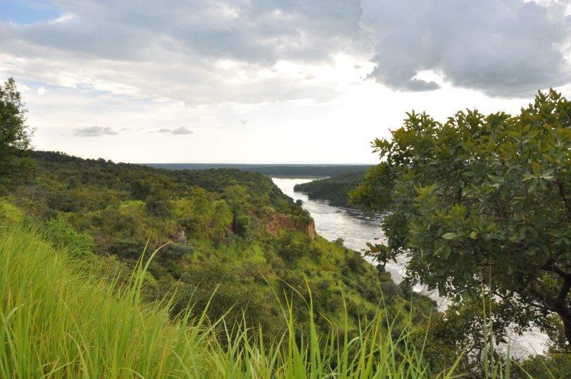 נהר באוגנדה