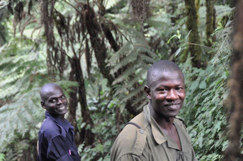 שומרי יערות באוגנדה