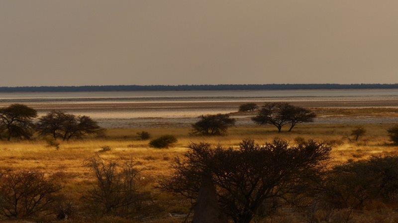 המדבר בנמיביה