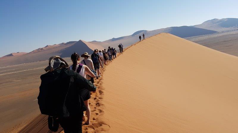 טיול מאורגן במדבר נמיביה