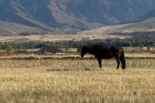 קירגיזסטאן