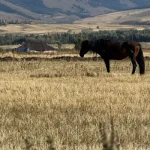 תמונת טיול להגדלה
